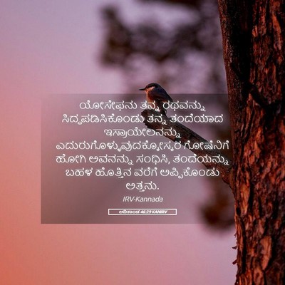 Picture 05 - ಆದಿಕಾಂಡ 46:29 KANIRV - ಯೋಸೇಫನು ತನ್ನ - Bible Verse Picture