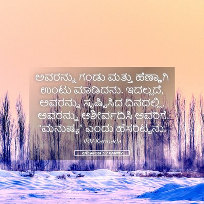 Picture 05 - ಆದಿಕಾಂಡ 5:2 KANIRV - ಅವರನ್ನು ಗಂಡು - Bible Verse Picture