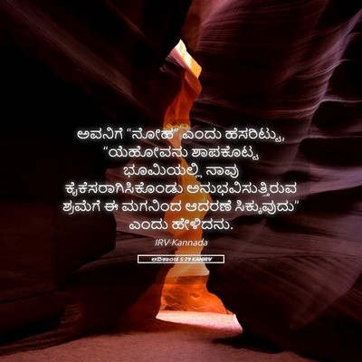 Picture 05 - ಆದಿಕಾಂಡ 5:29 KANIRV - ಅವನಿಗೆ “ನೋಹ” ಎಂದು - Bible Verse Picture