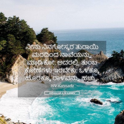 Picture 05 - ಆದಿಕಾಂಡ 6:14 KANIRV - ನೀನು ನಿನಗೋಸ್ಕರ - Bible Verse Picture