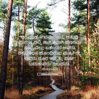 Picture 05 - ಆದಿಕಾಂಡ 6:3 KANIRV - ಆಗ ಯೆಹೋವನು, “ನನ್ನ - Bible Verse Picture