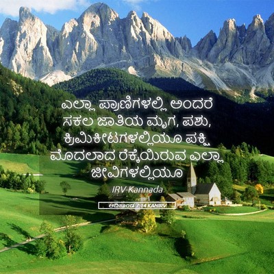 Picture 05 - ಆದಿಕಾಂಡ 7:14 KANIRV - ಎಲ್ಲಾ - Bible Verse Picture
