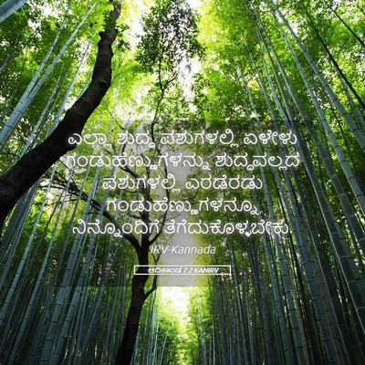Picture 05 - ಆದಿಕಾಂಡ 7:2 KANIRV - ಎಲ್ಲಾ ಶುದ್ಧ - Bible Verse Picture