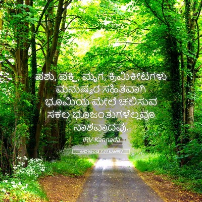 Picture 05 - ಆದಿಕಾಂಡ 7:21 KANIRV - ಪಶು, ಪಕ್ಷಿ, ಮೃಗ, - Bible Verse Picture