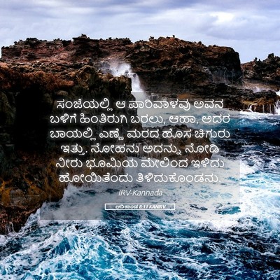 Picture 05 - ಆದಿಕಾಂಡ 8:11 KANIRV - ಸಂಜೆಯಲ್ಲಿ ಆ - Bible Verse Picture
