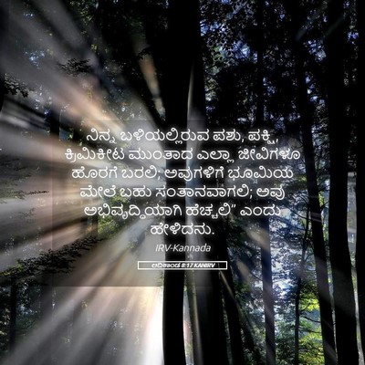 Picture 05 - ಆದಿಕಾಂಡ 8:17 KANIRV - ನಿನ್ನ ಬಳಿಯಲ್ಲಿರುವ - Bible Verse Picture