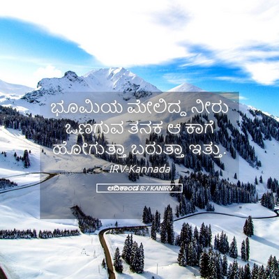 Picture 05 - ಆದಿಕಾಂಡ 8:7 KANIRV - ಭೂಮಿಯ ಮೇಲಿದ್ದ - Bible Verse Picture