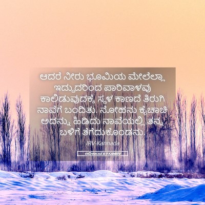 Picture 05 - ಆದಿಕಾಂಡ 8:9 KANIRV - ಆದರೆ ನೀರು ಭೂಮಿಯ - Bible Verse Picture