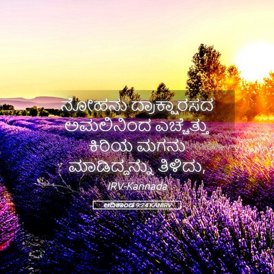 Picture 05 - ಆದಿಕಾಂಡ 9:24 KANIRV - ನೋಹನು ದ್ರಾಕ್ಷಾರಸದ - Bible Verse Picture
