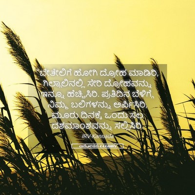 Picture 05 - ಆಮೋಸನು 4:4 KANIRV - “ಬೇತೇಲಿಗೆ ಹೋಗಿ - Bible Verse Picture