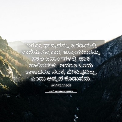 Picture 05 - ಆಮೋಸನು 9:9 KANIRV - “ಇಗೋ, ಧಾನ್ಯವನ್ನು - Bible Verse Picture
