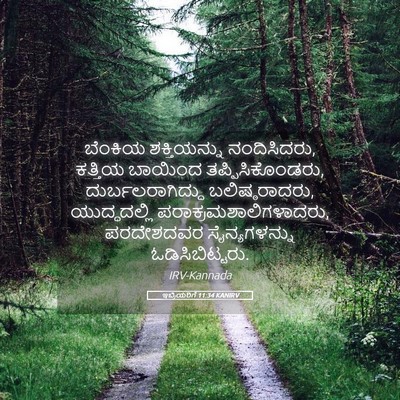 Picture 05 - ಇಬ್ರಿಯರಿಗೆ 11:34 KANIRV - ಬೆಂಕಿಯ ಶಕ್ತಿಯನ್ನು - Bible Verse Picture
