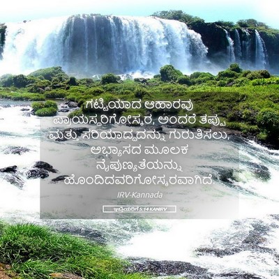 Picture 05 - ಇಬ್ರಿಯರಿಗೆ 5:14 KANIRV - ಗಟ್ಟಿಯಾದ ಆಹಾರವು - Bible Verse Picture