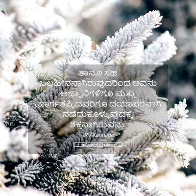 Picture 05 - ಇಬ್ರಿಯರಿಗೆ 5:2 KANIRV - ತಾನೂ ಸಹ - Bible Verse Picture