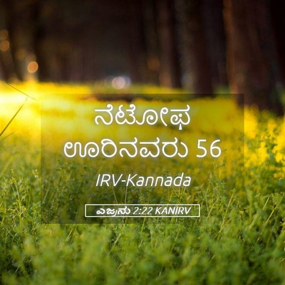 Picture 05 - ಎಜ್ರನು 2:22 KANIRV - ನೆಟೋಫ ಊರಿನವರು - Bible Verse Picture
