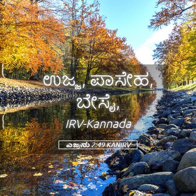 Picture 05 - ಎಜ್ರನು 2:49 KANIRV - ಉಜ್ಜ, ಪಾಸೇಹ, - Bible Verse Picture
