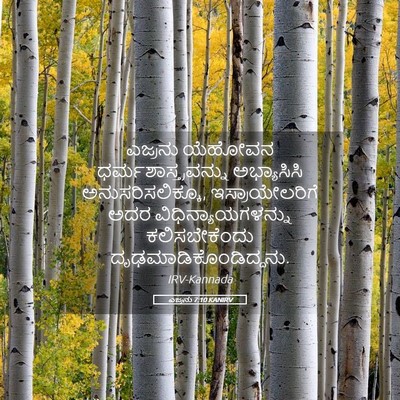 Picture 05 - ಎಜ್ರನು 7:10 KANIRV - ಎಜ್ರನು ಯೆಹೋವನ - Bible Verse Picture