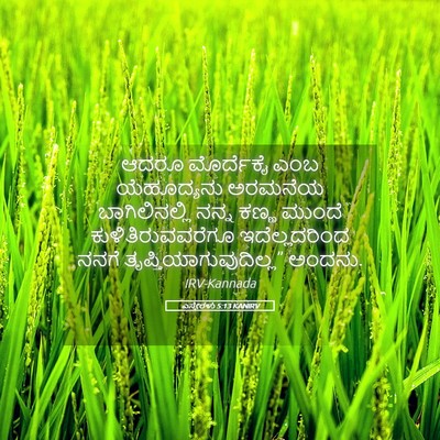 Picture 05 - ಎಸ್ತೇರಳು 5:13 KANIRV - ಆದರೂ ಮೊರ್ದೆಕೈ ಎಂಬ - Bible Verse Picture