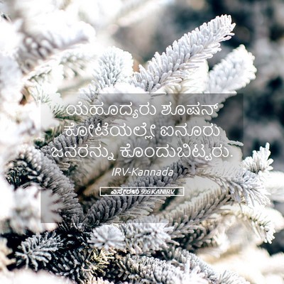 Picture 05 - ಎಸ್ತೇರಳು 9:6 KANIRV - ಯೆಹೂದ್ಯರು ಶೂಷನ್ - Bible Verse Picture