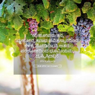 Picture 05 - ಕೀರ್ತನೆಗಳು 102:19 KANIRV - “ಯೆಹೋವನು ತನ್ನ - Bible Verse Picture