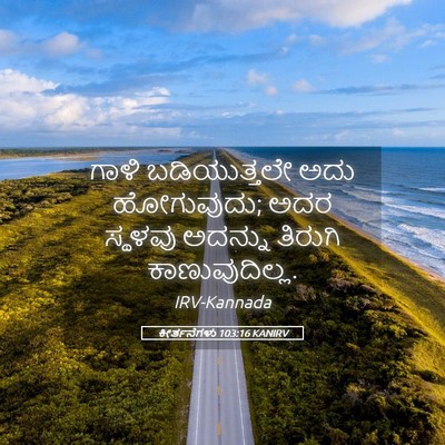 Picture 05 - ಕೀರ್ತನೆಗಳು 103:16 KANIRV - ಗಾಳಿ ಬಡಿಯುತ್ತಲೇ - Bible Verse Picture