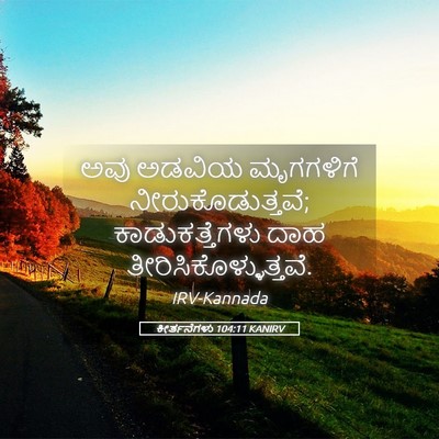 Picture 05 - ಕೀರ್ತನೆಗಳು 104:11 KANIRV - ಅವು ಅಡವಿಯ - Bible Verse Picture