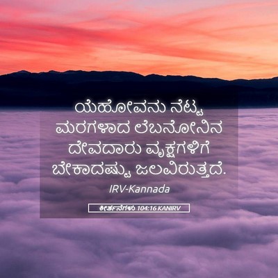 Picture 05 - ಕೀರ್ತನೆಗಳು 104:16 KANIRV - ಯೆಹೋವನು ನೆಟ್ಟ - Bible Verse Picture