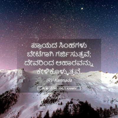 Picture 05 - ಕೀರ್ತನೆಗಳು 104:21 KANIRV - ಪ್ರಾಯದ ಸಿಂಹಗಳು - Bible Verse Picture