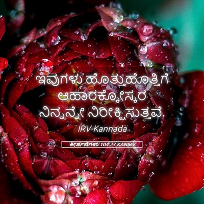 Picture 05 - ಕೀರ್ತನೆಗಳು 104:27 KANIRV - ಇವುಗಳು - Bible Verse Picture