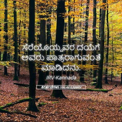 Picture 05 - ಕೀರ್ತನೆಗಳು 106:46 KANIRV - ಸೆರೆಯೊಯ್ದವರ ದಯೆಗೆ - Bible Verse Picture