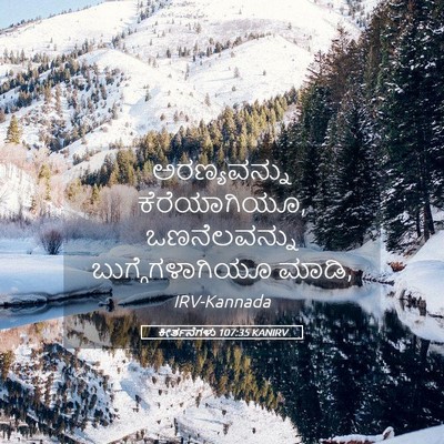 Picture 05 - ಕೀರ್ತನೆಗಳು 107:35 KANIRV - ಅರಣ್ಯವನ್ನು - Bible Verse Picture