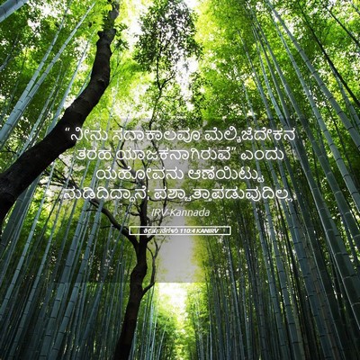 Picture 05 - ಕೀರ್ತನೆಗಳು 110:4 KANIRV - “ನೀನು ಸದಾಕಾಲವೂ - Bible Verse Picture