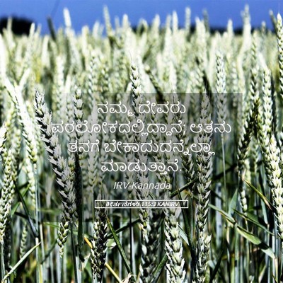 Picture 05 - ಕೀರ್ತನೆಗಳು 115:3 KANIRV - ನಮ್ಮ ದೇವರು - Bible Verse Picture