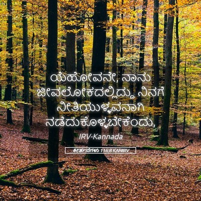 Picture 05 - ಕೀರ್ತನೆಗಳು 116:8 KANIRV - ಯೆಹೋವನೇ, ನಾನು - Bible Verse Picture