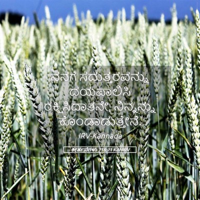 Picture 05 - ಕೀರ್ತನೆಗಳು 118:21 KANIRV - ನನಗೆ ಸದುತ್ತರವನ್ನು - Bible Verse Picture