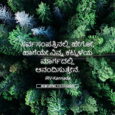 Picture 05 - ಕೀರ್ತನೆಗಳು 119:14 KANIRV - ಸರ್ವಸಂಪತ್ತಿನಲ್ಲಿ - Bible Verse Picture