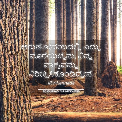 Picture 05 - ಕೀರ್ತನೆಗಳು 119:147 KANIRV - ಅರುಣೋದಯದಲ್ಲಿ - Bible Verse Picture