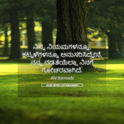 Picture 05 - ಕೀರ್ತನೆಗಳು 119:168 KANIRV - ನಿನ್ನ ನಿಯಮಗಳನ್ನೂ, - Bible Verse Picture