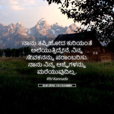 Picture 05 - ಕೀರ್ತನೆಗಳು 119:176 KANIRV - ನಾನು ತಪ್ಪಿಹೋದ - Bible Verse Picture