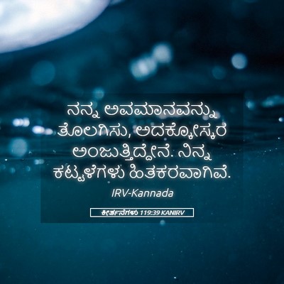 Picture 05 - ಕೀರ್ತನೆಗಳು 119:39 KANIRV - ನನ್ನ ಅವಮಾನವನ್ನು - Bible Verse Picture