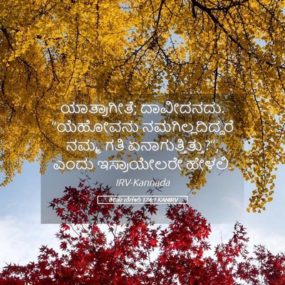 Picture 05 - ಕೀರ್ತನೆಗಳು 124:1 KANIRV - ಯಾತ್ರಾಗೀತೆ; - Bible Verse Picture