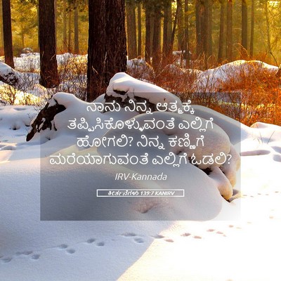Picture 05 - ಕೀರ್ತನೆಗಳು 139:7 KANIRV - ನಾನು ನಿನ್ನ - Bible Verse Picture