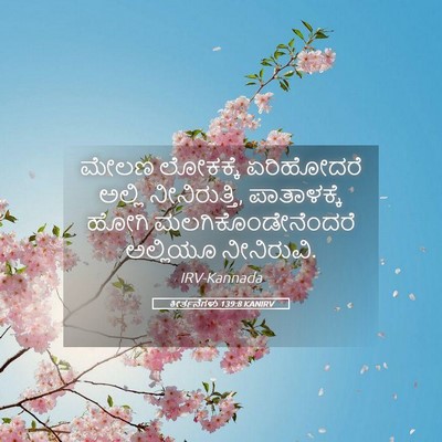 Picture 05 - ಕೀರ್ತನೆಗಳು 139:8 KANIRV - ಮೇಲಣ ಲೋಕಕ್ಕೆ - Bible Verse Picture
