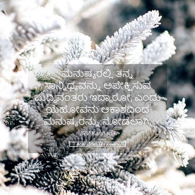 Picture 05 - ಕೀರ್ತನೆಗಳು 14:2 KANIRV - ಮನುಷ್ಯರಲ್ಲಿ ತನ್ನ - Bible Verse Picture