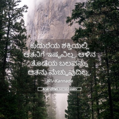 Picture 05 - ಕೀರ್ತನೆಗಳು 147:10 KANIRV - ಕುದುರೆಯ - Bible Verse Picture