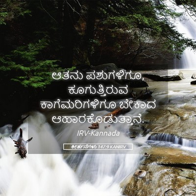 Picture 05 - ಕೀರ್ತನೆಗಳು 147:9 KANIRV - ಆತನು ಪಶುಗಳಿಗೂ, - Bible Verse Picture