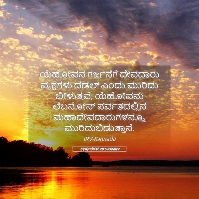 Picture 05 - ಕೀರ್ತನೆಗಳು 29:5 KANIRV - ಯೆಹೋವನ ಗರ್ಜನೆಗೆ - Bible Verse Picture