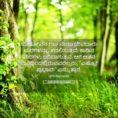 Picture 05 - ಕೀರ್ತನೆಗಳು 29:9 KANIRV - ಯೆಹೋವನ ಗರ್ಜನೆಯು - Bible Verse Picture