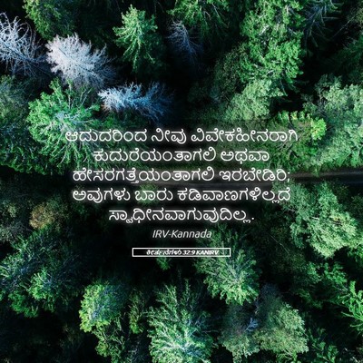 Picture 05 - ಕೀರ್ತನೆಗಳು 32:9 KANIRV - ಆದುದರಿಂದ ನೀವು - Bible Verse Picture