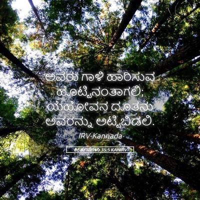 Picture 05 - ಕೀರ್ತನೆಗಳು 35:5 KANIRV - ಅವರು ಗಾಳಿ ಹಾರಿಸುವ - Bible Verse Picture